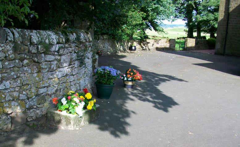 Flowers at the back door of Cornhills farmhouse